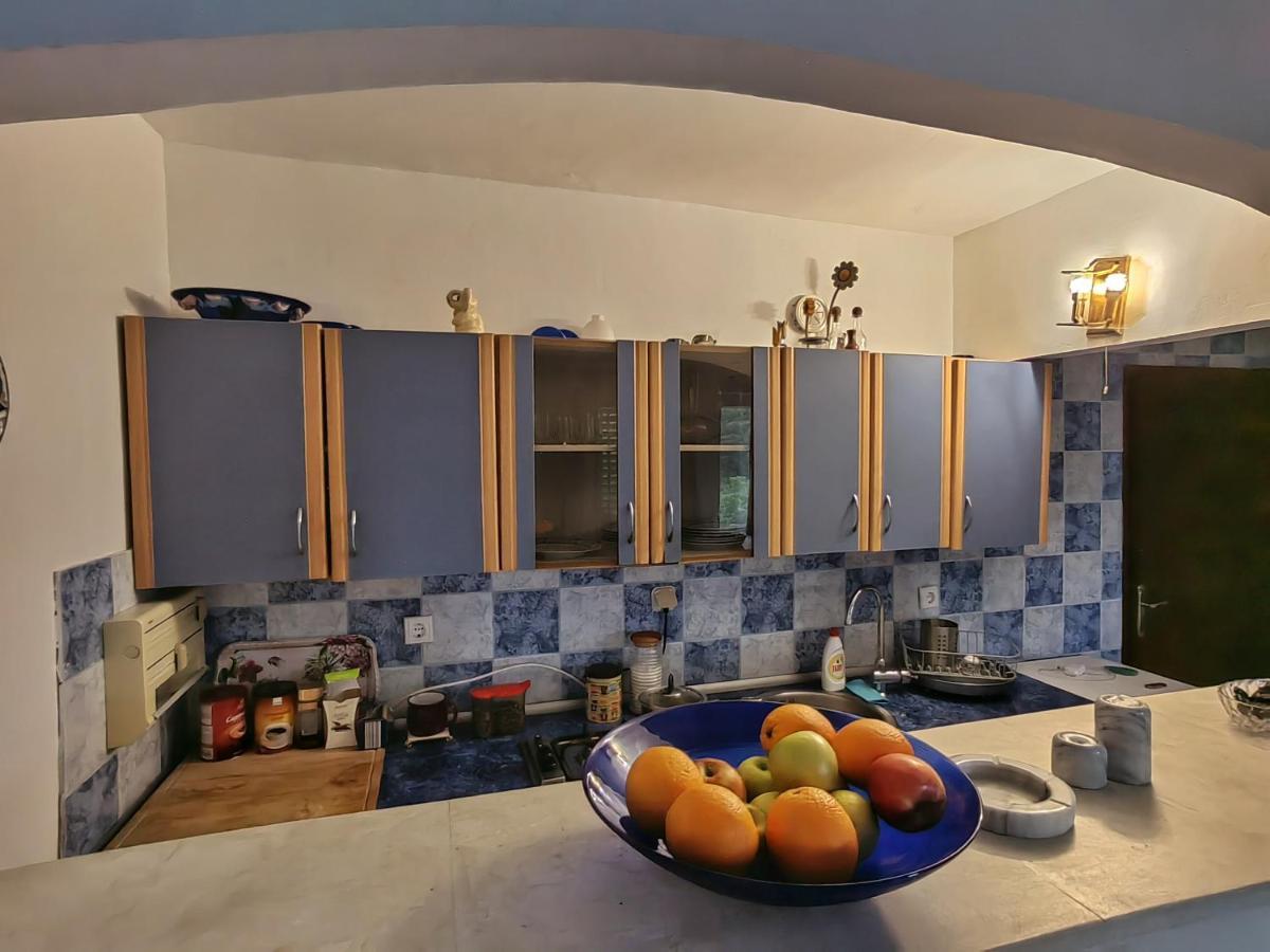 Apartments Vejo Korčula Dış mekan fotoğraf